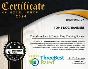 Certificate of Excellence 2024 Top 3 Dog Trainers